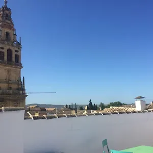 Entre 2 Mezquitas 8 Apartamento